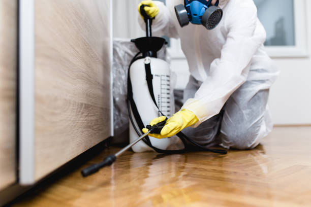 Best Emergency Pest Control  in Onset, MA