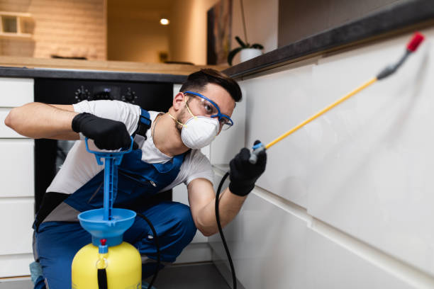 Best Pest Inspection Near Me  in Onset, MA