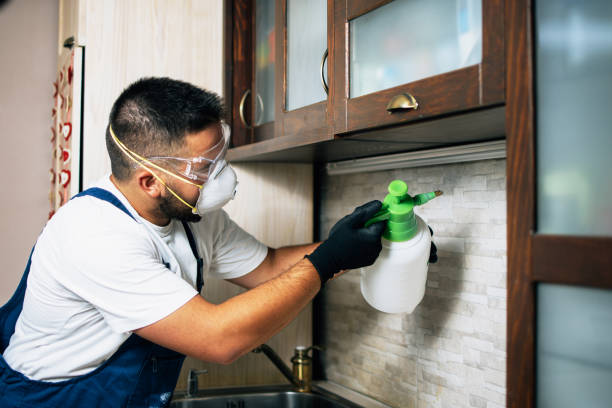 Best Pest Prevention Services  in Onset, MA