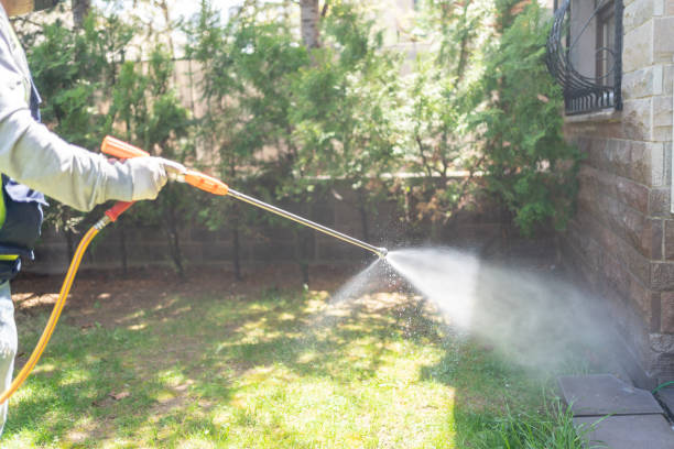 Best Mosquito Control Services  in Onset, MA