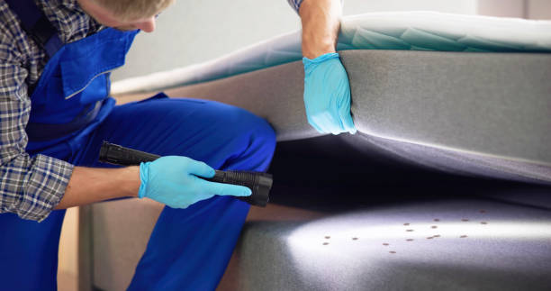 Flea Control Services in Onset, MA