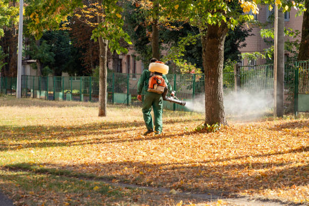 Best Local Pest Control Services  in Onset, MA